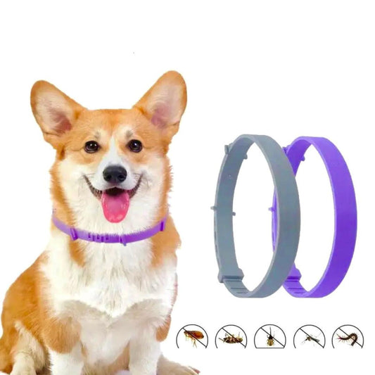 Guardian Collar Against Fleas and Ticks