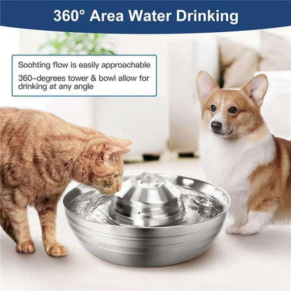 auto-stainless-water-dispenser-583091 - Pawparede