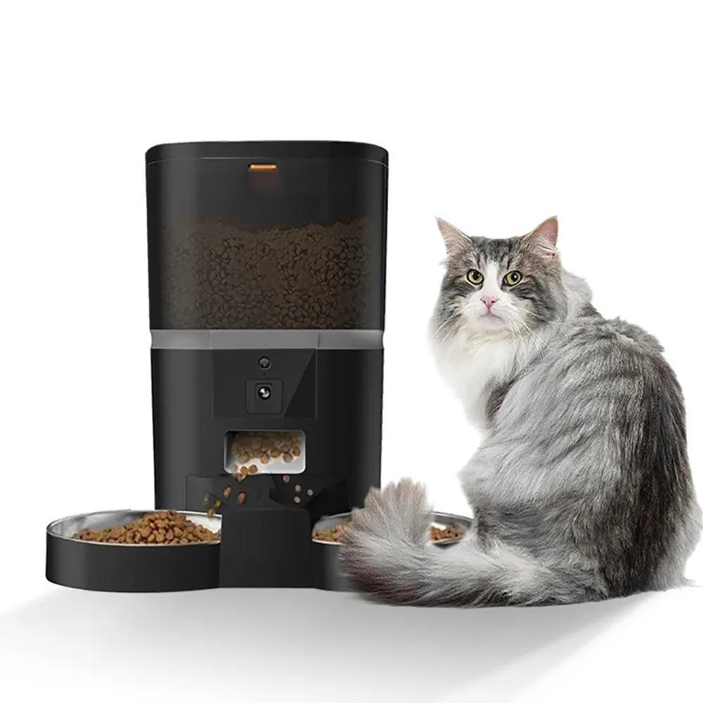 automatic-double-feeder-290767 - Pawparede