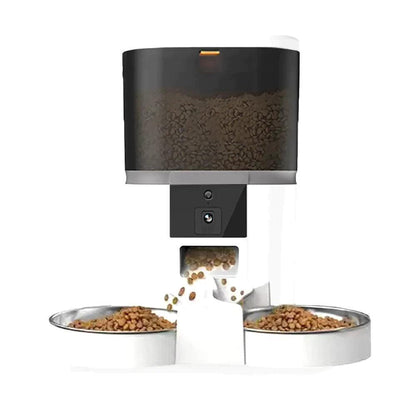 automatic-double-feeder-762749 - Pawparede