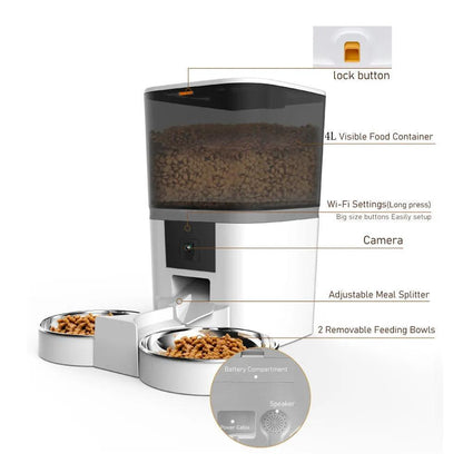 automatic-double-feeder-781588 - Pawparede