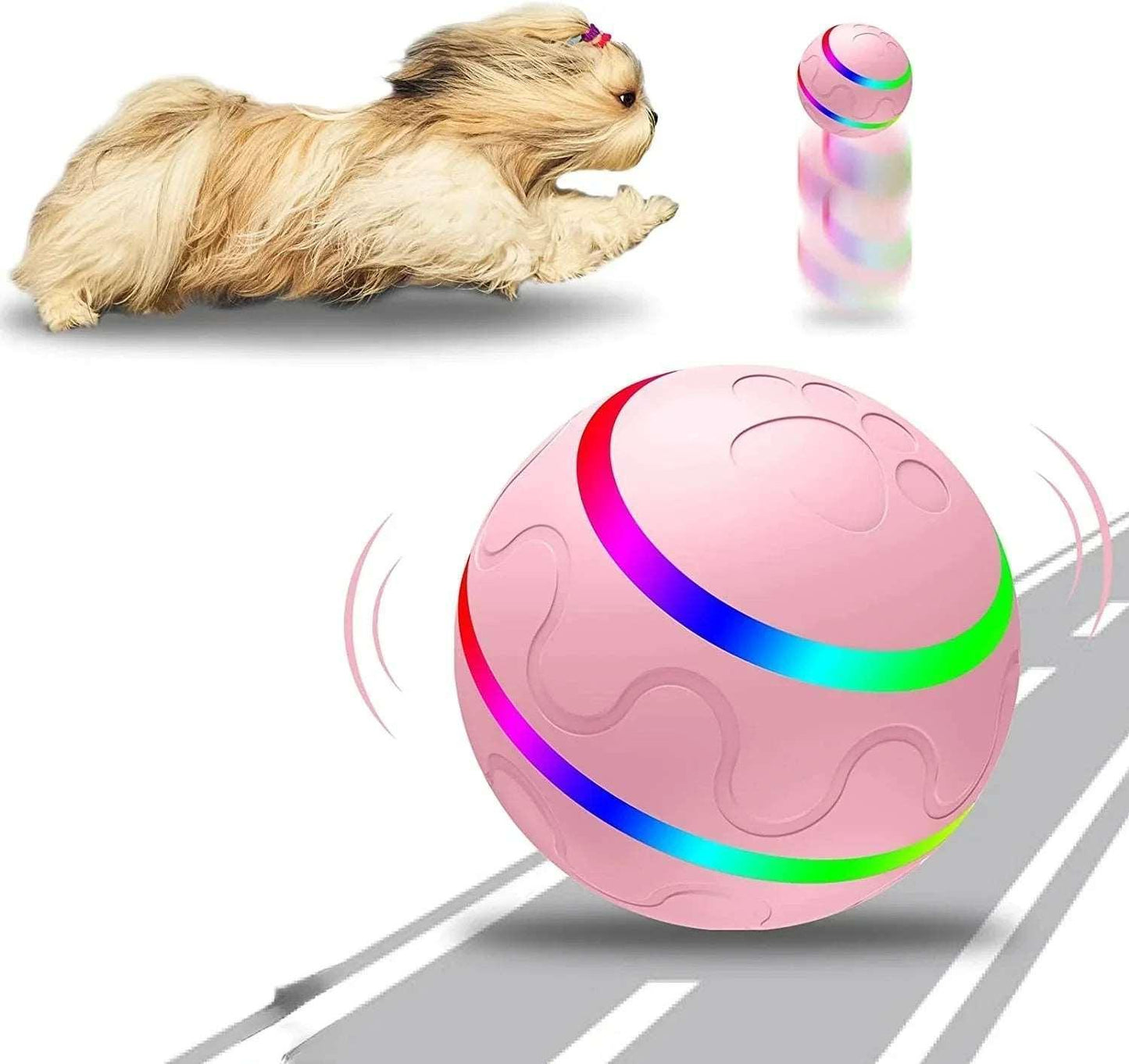 automatic-interactive-ball-102411 - Pawparede