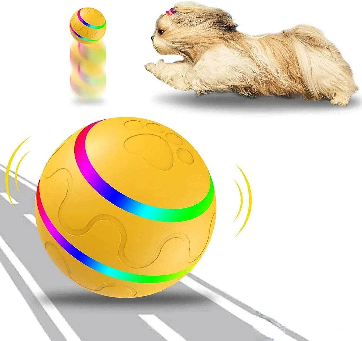 automatic-interactive-ball-222937 - Pawparede