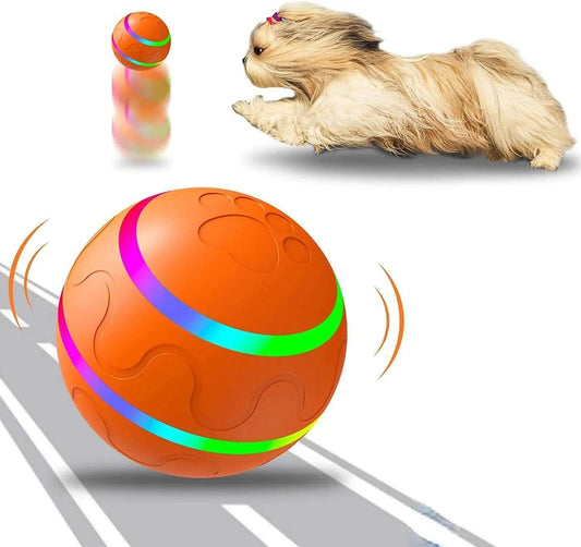 automatic-interactive-ball-313068 - Pawparede