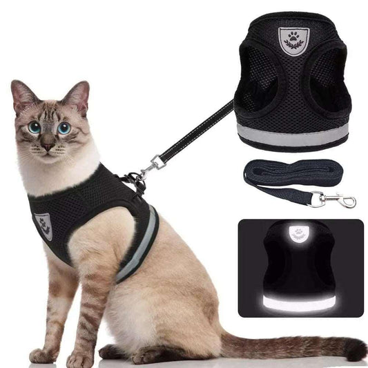 chest-collar-for-cat-689238 - Pawparede