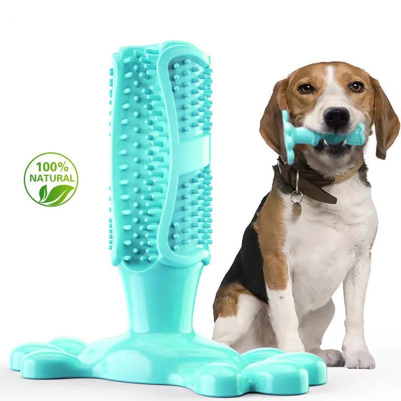 Dog Toothbrush Chew Toy - PawparedeDog Toothbrush Chew ToyMy StorePawparede14:29#Green;5:361385GreenLDog Toothbrush Chew Toy - Pawparede