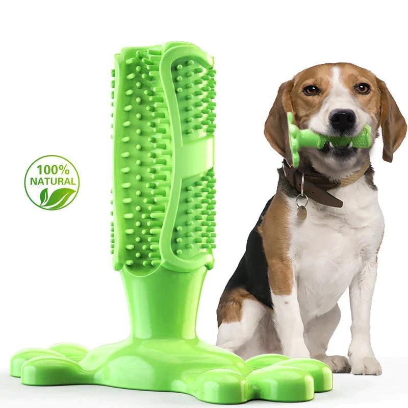 Dog Toothbrush Chew Toy - PawparedeDog Toothbrush Chew ToyMy StorePawparede14:29#Green;5:361385GreenLDog Toothbrush Chew Toy - Pawparede