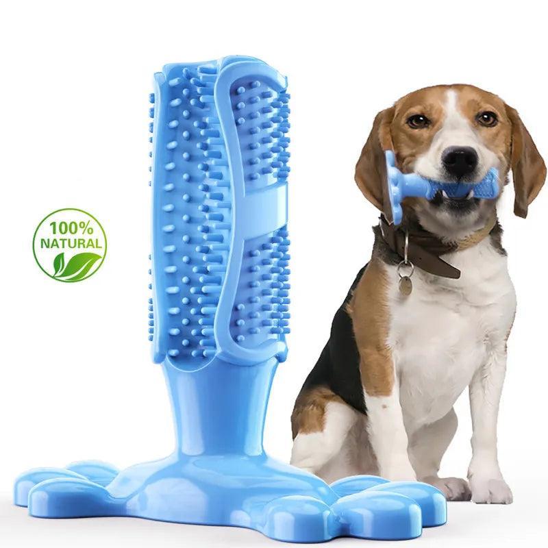 Dog Toothbrush Chew Toy - PawparedeDog Toothbrush Chew ToyMy StorePawparede14:29#Green;5:361385GreenLDog Toothbrush Chew Toy - Pawparede