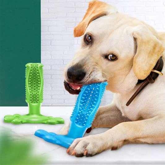 Dog Toothbrush Chew Toy - PawparedeDog Toothbrush Chew ToyMy StorePawparede14:29#Green;5:361385GreenLDog Toothbrush Chew Toy - Pawparede