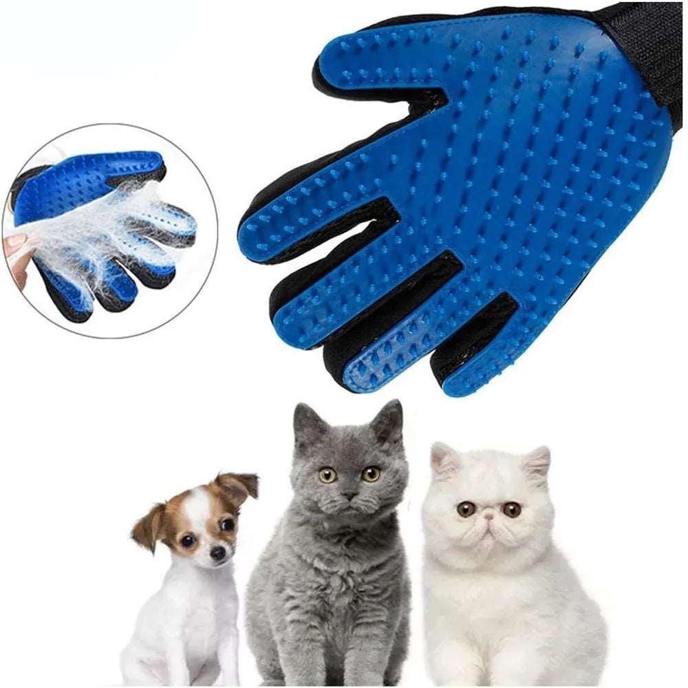 Hair Removal Glove - PawparedeHair Removal GloveMy StorePawparede14:202594829#right blue;5:200661035#1PCright blue1PCHair Removal Glove - Pawparede