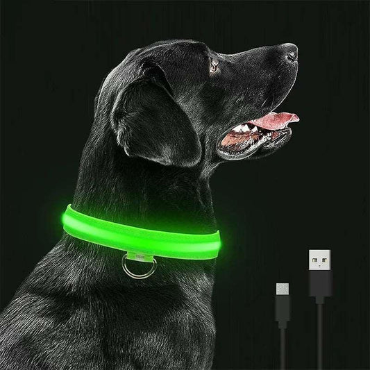 Pet collar that glows in the dark - PawparedePet collar that glows in the darkMy StorePawparede14:29#Yellow battery;5:100014066#S neck 35 - 43cmYellow batteryS neck 35 - 43cmPet collar that glows in the dark - Pawparede