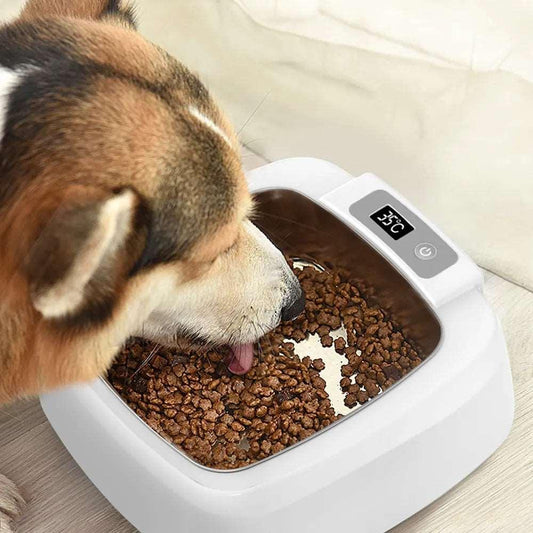 Pet Thermal Feeder - PawparedePet Thermal FeederMy StorePawparede14:29#Round Heating Bowl;200007763:201336100Round Heating BowlPet Thermal Feeder - Pawparede