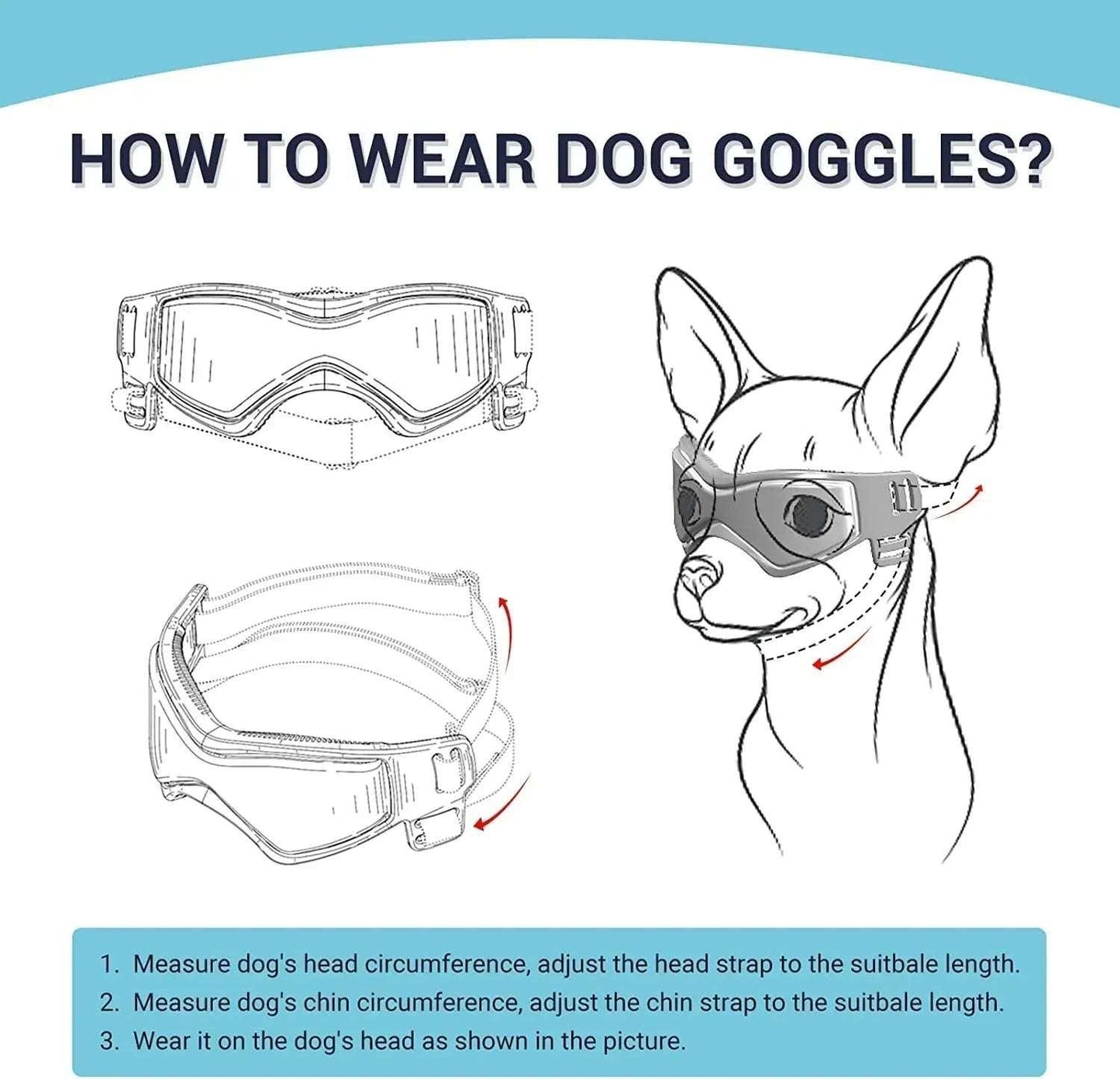 Protective Glasses for Dogs - PawparedeProtective Glasses for DogsMy StorePawparede14:29#Medium OrangeMedium OrangeProtective Glasses for Dogs - Pawparede