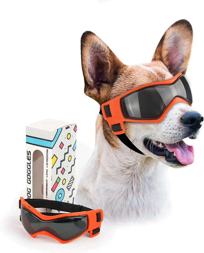 Protective Glasses for Dogs - PawparedeProtective Glasses for DogsMy StorePawparede14:29#Medium OrangeMedium OrangeProtective Glasses for Dogs - Pawparede