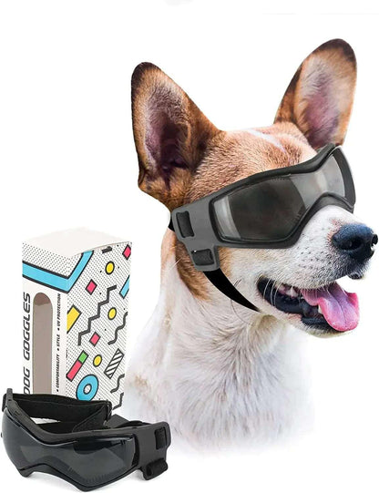 Protective Glasses for Dogs - PawparedeProtective Glasses for DogsMy StorePawparede14:29#Medium OrangeMedium OrangeProtective Glasses for Dogs - Pawparede