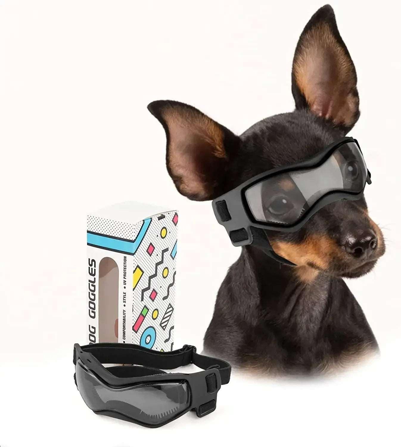 Protective Glasses for Dogs - PawparedeProtective Glasses for DogsMy StorePawparede14:29#Medium OrangeMedium OrangeProtective Glasses for Dogs - Pawparede