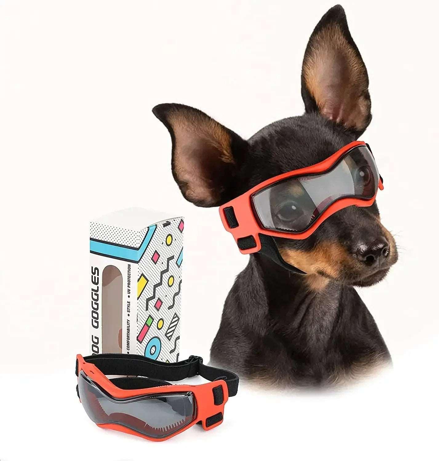 Protective Glasses for Dogs - PawparedeProtective Glasses for DogsMy StorePawparede14:29#Medium OrangeMedium OrangeProtective Glasses for Dogs - Pawparede